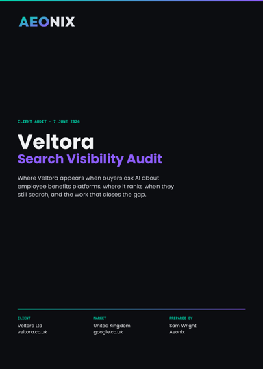 Search Visibility Audit — page 1 preview
