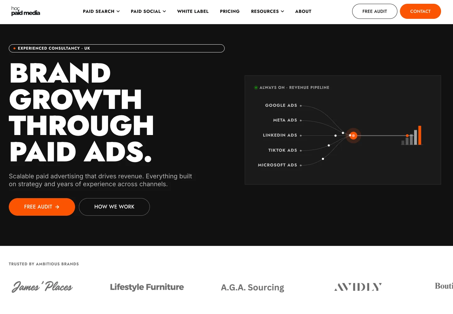 Hoc Paid Media — new site hero
