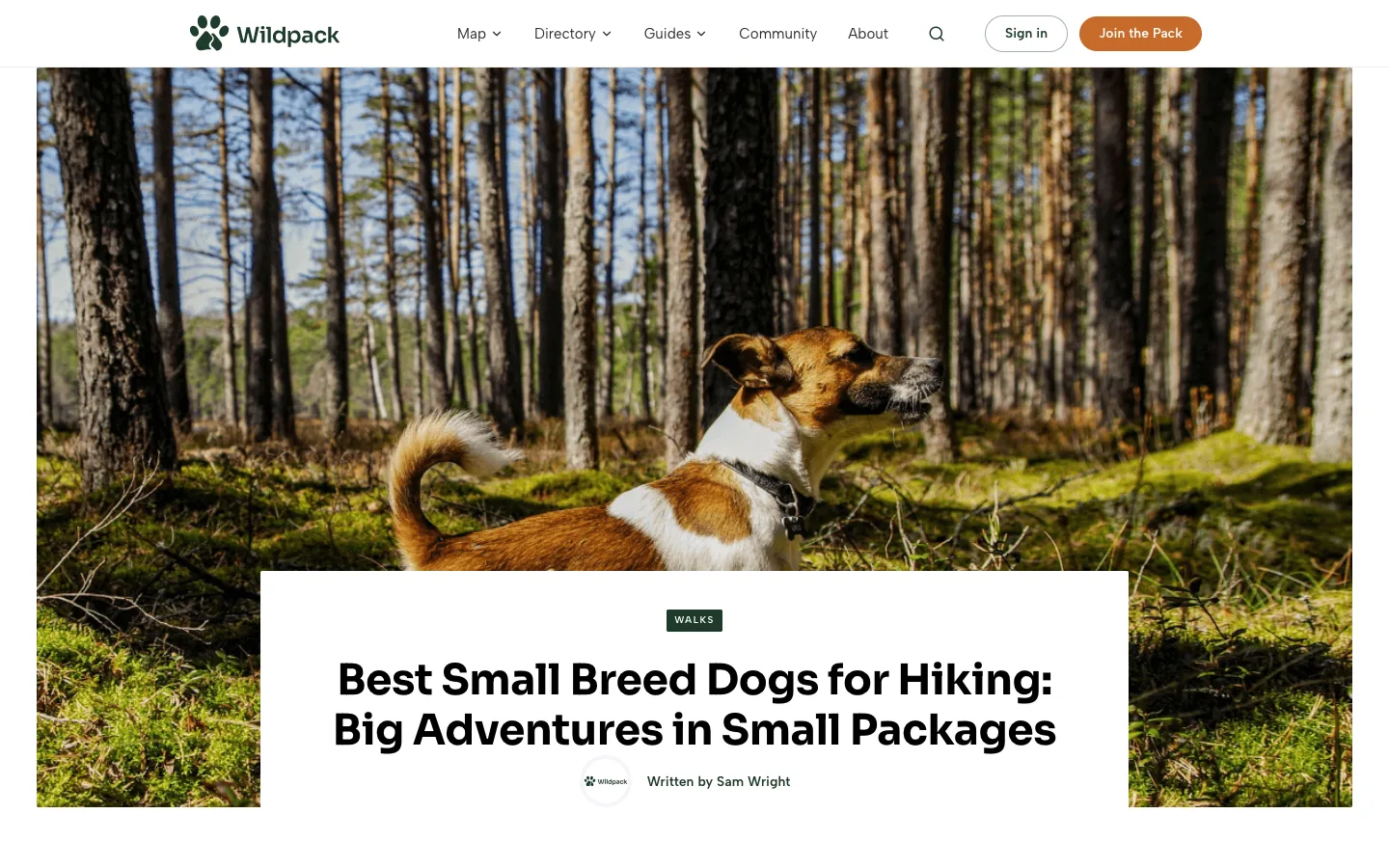 The Wildpack guide to the best small breed dogs for hiking